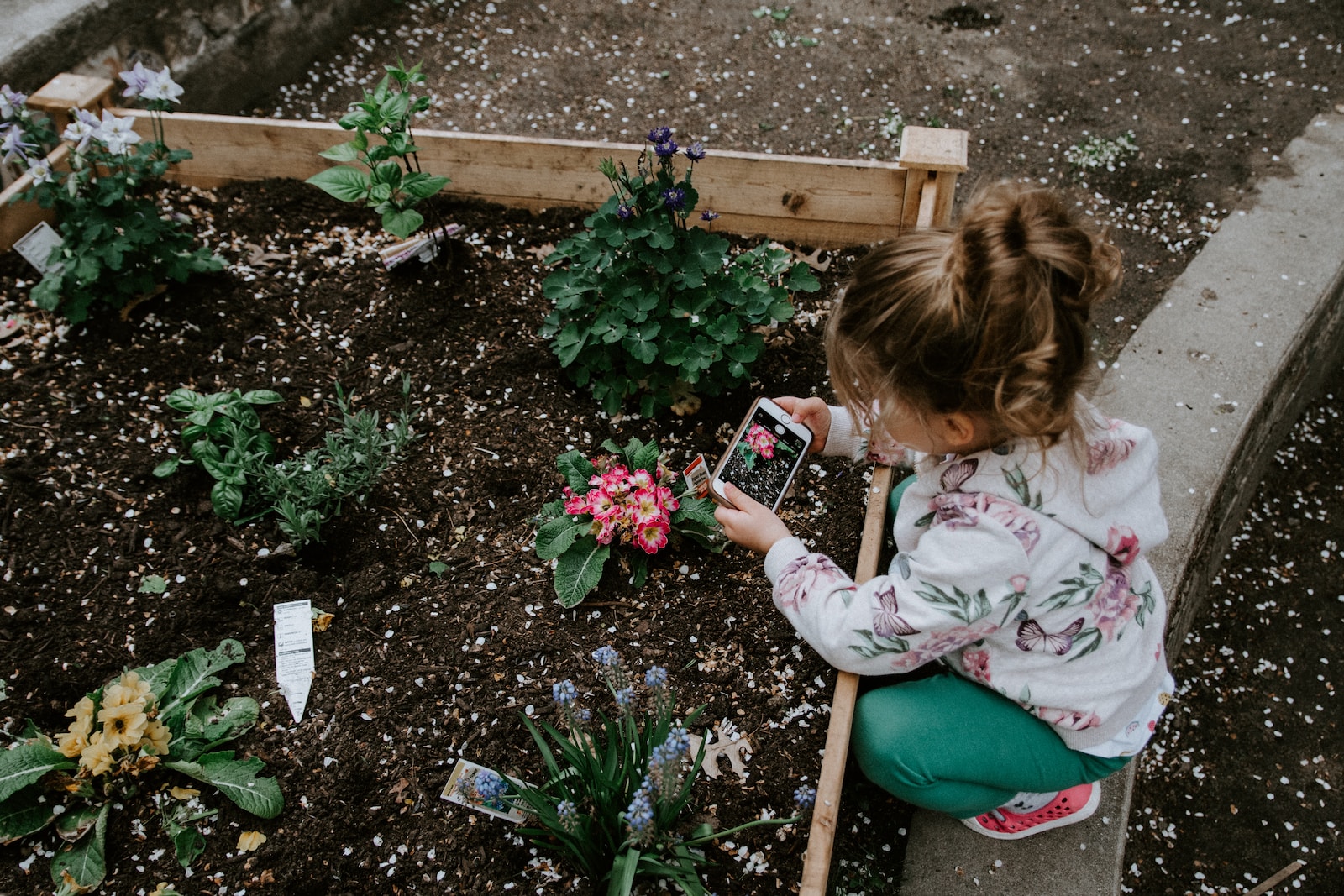Gartenarbeit mit Kindern 🌱 – So gelingt's!