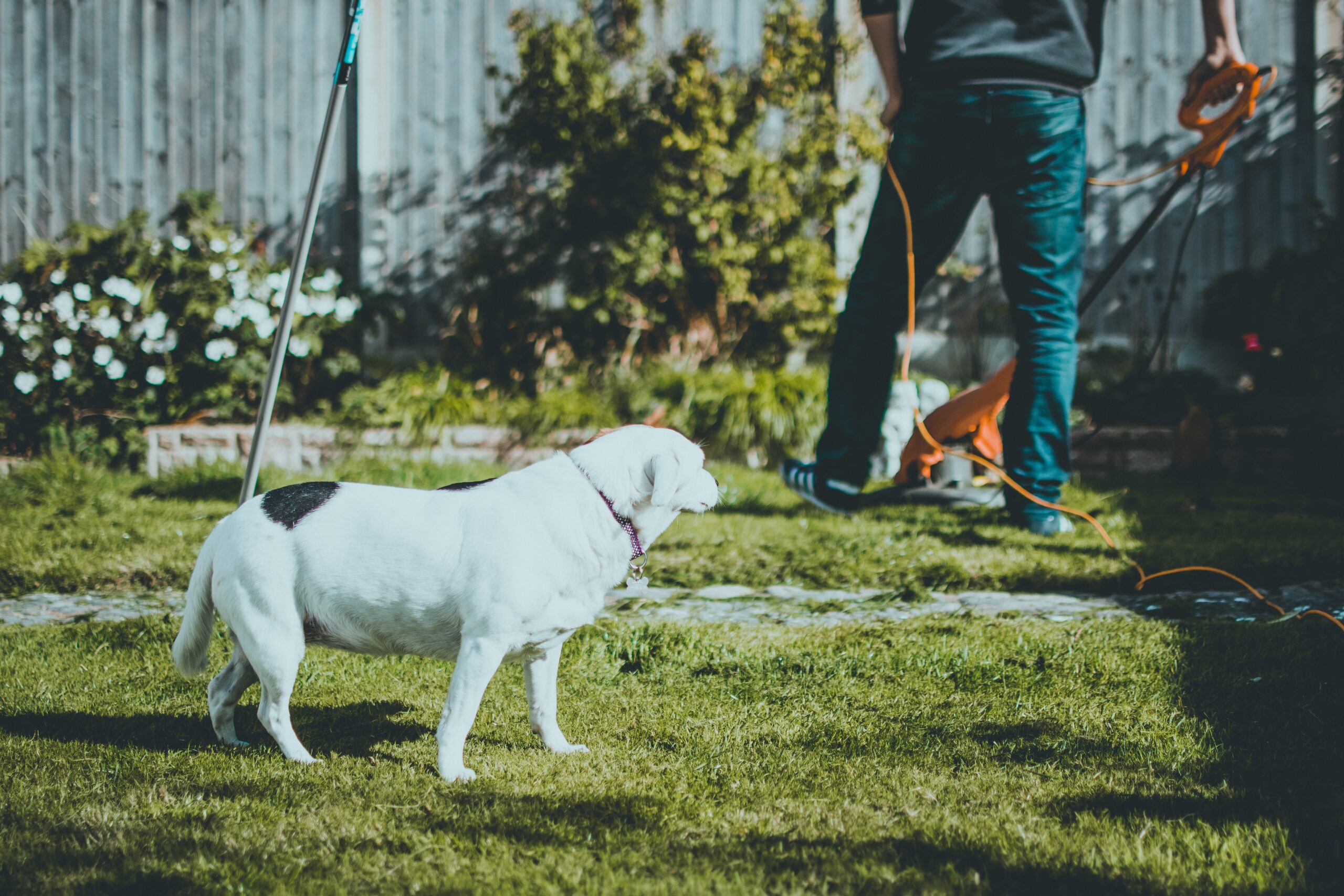 Warum die richtigen Gartenwerkzeuge den Unterschied ausmachen