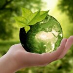 Setzen Sie auf Nachhaltigkeit – 5 Tipps, wie Sie „grüner“ leben