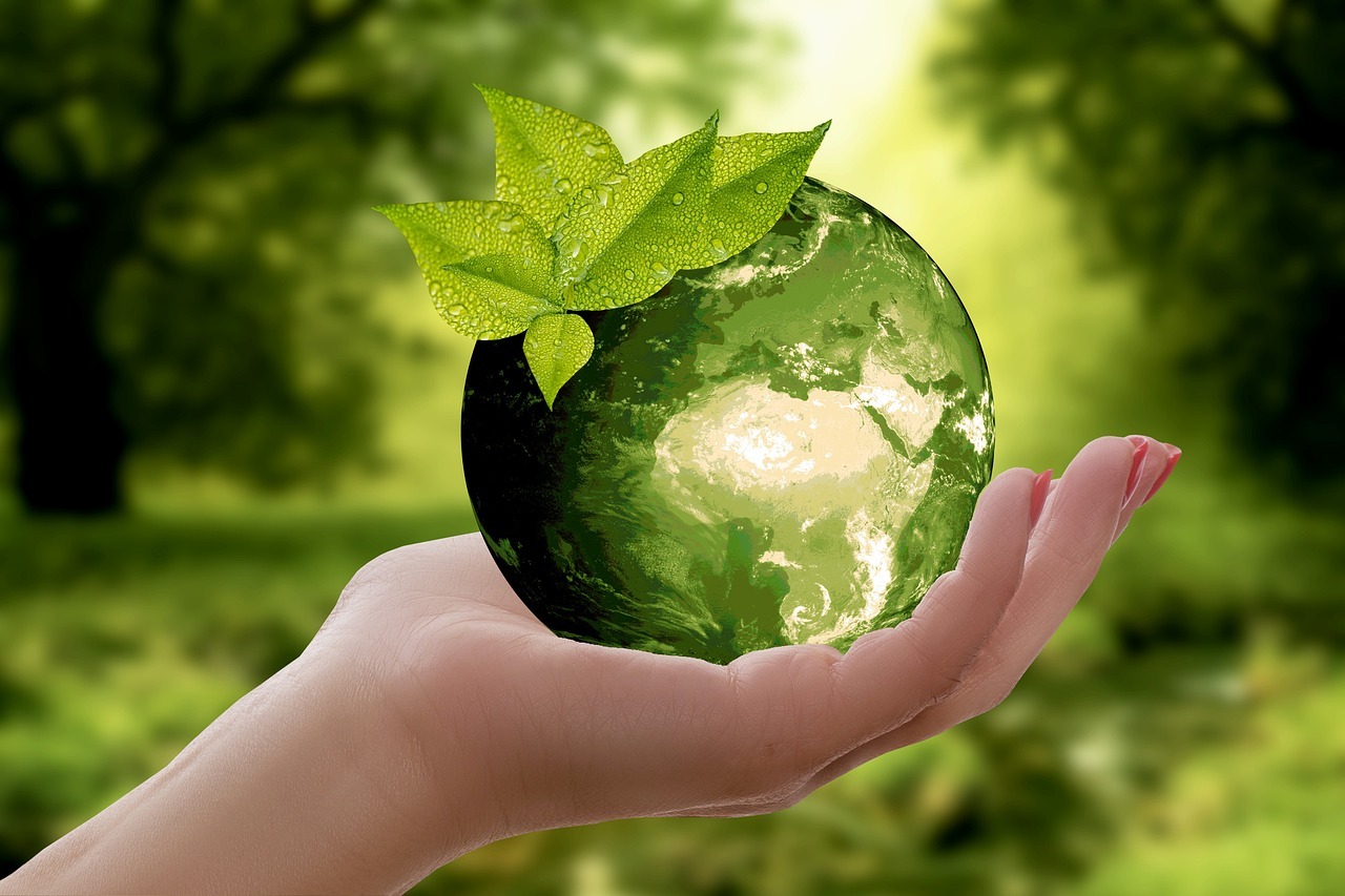 Setzen Sie auf Nachhaltigkeit – 5 Tipps, wie Sie „grüner“ leben