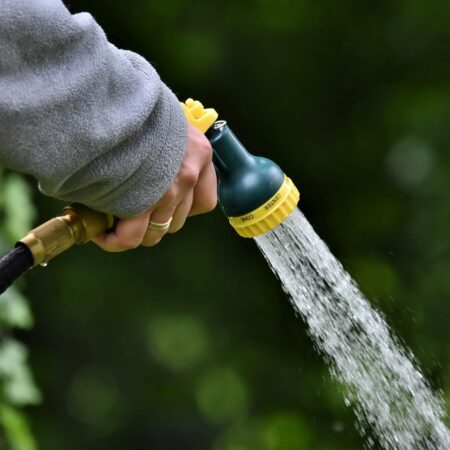 Wasser sparen im Garten: So geht’s richtig